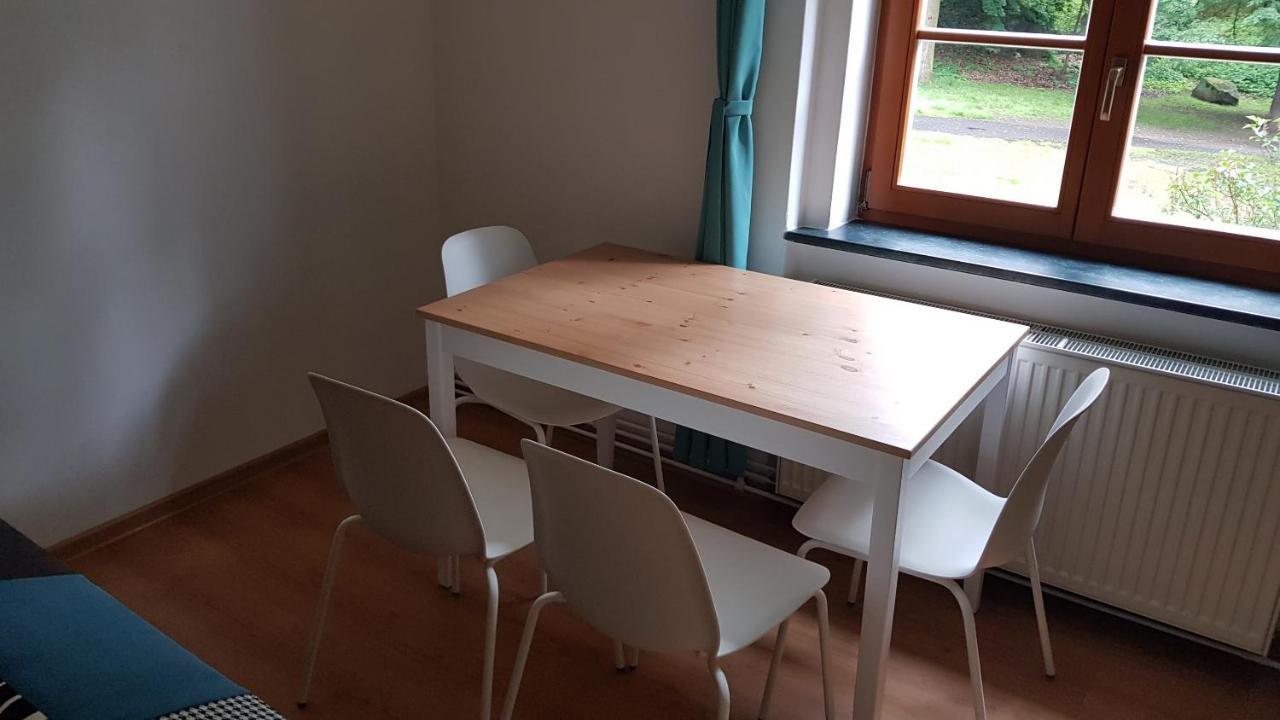 Apartman Pod Zamkem Дечин Экстерьер фото