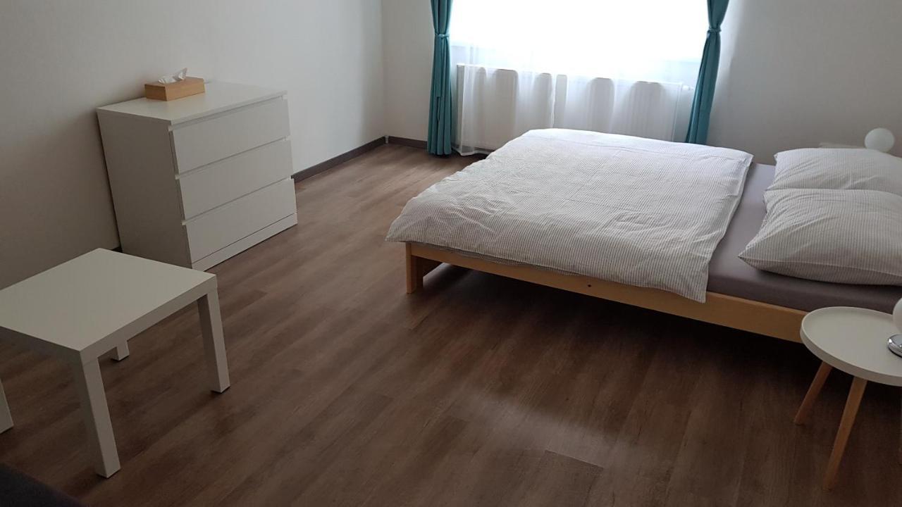 Apartman Pod Zamkem Дечин Экстерьер фото